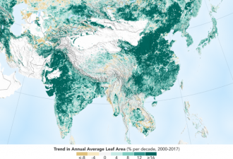 NASA：多亏中国和印度植树造林，我们更绿了