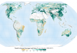 NASA：多亏中国和印度植树造林，我们更绿了