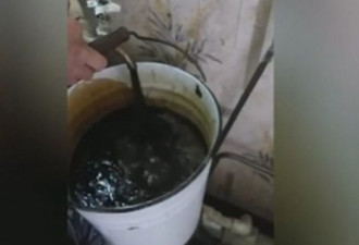 自来水管流石油 伊拉克贫民窟居民大怒