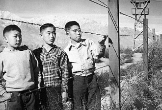 近14万日裔美国人的拘留营血泪史