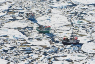 纽芬兰外海：加拿大渔船被困冰块群 空军施救