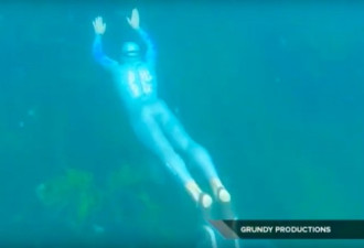 超狂海豚人！不靠器材潜泳22公里横越库克海峡