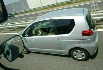 高速公路活春宫 裸女躺着帮司机口活