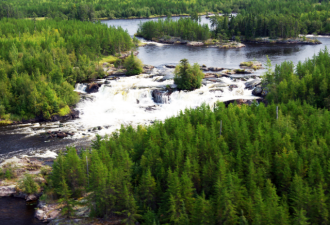 美国卷纸消费世界第一 加拿大森林遭殃