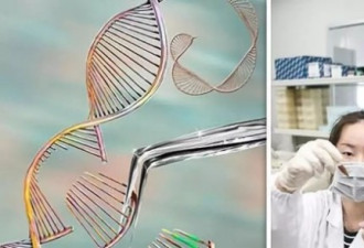 最强大脑？中国“基因编辑”婴儿或有认知突变