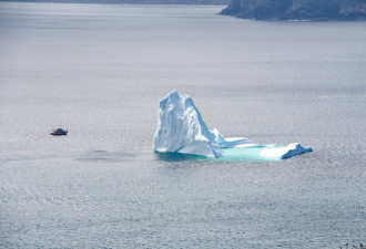 兴奋吧！两万年的纽芬兰冰山本月底访问多伦多