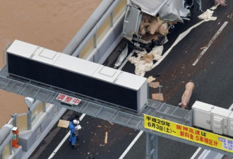 日本19头猪车祸中逃走，高速上走着走着睡着了