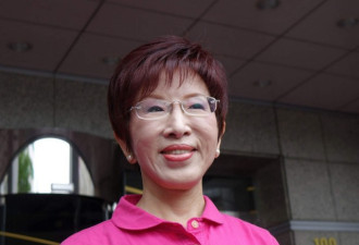 国民党主席洪秀柱赴陆 再提和平政纲