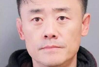 持枪案后周立波涉嫌诽谤律师 或面临巨额赔偿