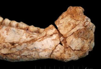 摩洛哥发现5具智人化石 人类起源或提前