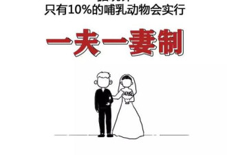 为什么一夫只能有一妻?这样才能主宰地球啊