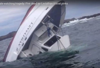 BC观鲸船翻沉致6死 原来真相就在这儿