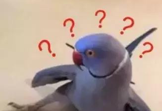 妻子章子怡？这是什么情况，很不“章子怡”