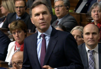 加拿大财长将在 3 月19日公布新预算