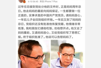 任志强受处分内幕：母亲墓前“哭坟”