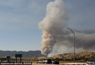 美国加州遭遇山火侵袭 过火面积达200公顷