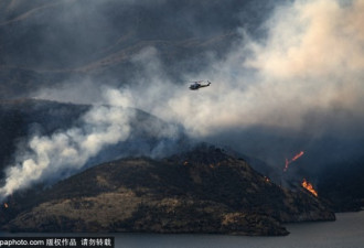 美国加州遭遇山火侵袭 过火面积达200公顷