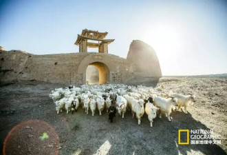 大西北戈壁的龟城 放羊看星星的桃源生活