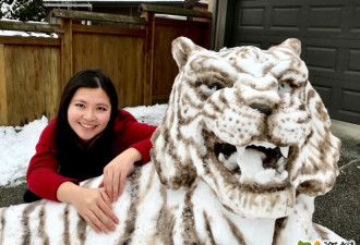 25岁华人天才女孩：自建一个冰雪动物园