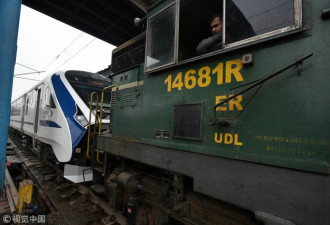 “半高铁”列车屡遭牛群袭击 印度欲请防牛员