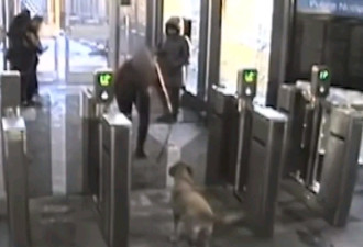 TTC地铁逃票怪招多：连狗都用上 替主人开闸门