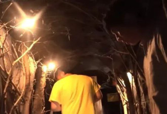 世界上最危险的动物园，进去就要签“生死状”