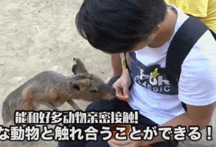 世界上最危险的动物园，进去就要签“生死状”