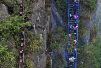 天梯上的孩子过得怎样了?重访四川“悬崖村”