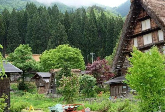 日本最美乡村，当地山木建造不用一颗铁钉