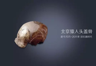 你若知人类祖先有多残忍，就明白人类多孤独
