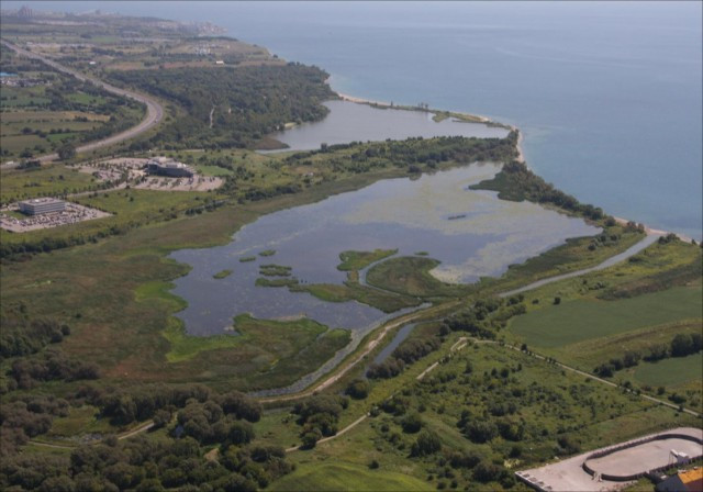 “Oshawa Harbour”的图片搜索结果