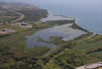 安大略湖中发现一具男子尸体 死因不明