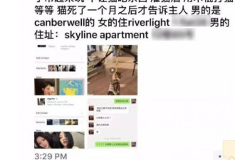 中国留学生吸毒虐猫致死 曾就读加拿大国际学校