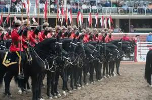 加拿大皇家骑�表演 Photo Credit: Shane Kuhn / Calgary Stampede