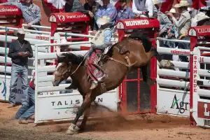 马鞍骑乘 Photo Credit: Chris Bolin / Calgary Stampede