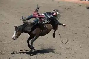 Chris Bolin / Calgary Stampede