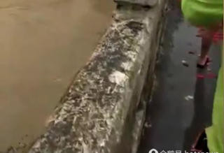 网传男子求婚失败当场跳河 真相反转