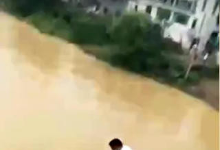 网传男子求婚失败当场跳河 真相反转