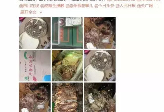 看完澳洲孩子 日本小学的午餐，中国家长崩溃…
