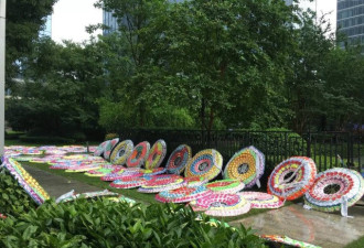 杭州保姆纵火案：豪宅下的灵堂、悲恸与骚动