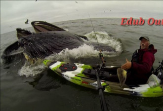惊悚一刻！美男子划皮艇偶遇两巨鲸 险被撞翻