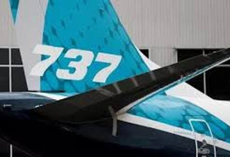 又一国宣布暂时停飞波音737MAX-8型飞机