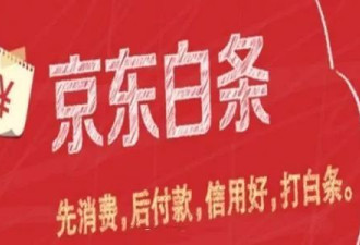 利用网购漏洞恶意套现110万，被判10年