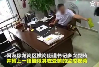 中国地方官受贿视频流出 网友的表现却非常淡定