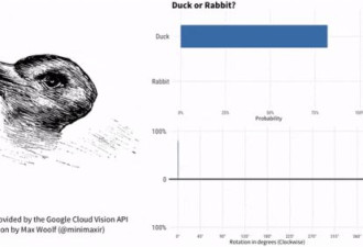 究竟是鸭子还是兔子？这张百年老图难倒谷歌AI