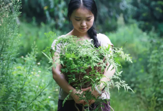 90后美女隐居森林，爱上了沾花惹草