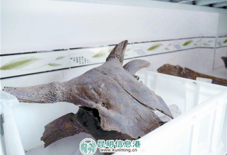 云南发现2000多年前古滇国村落遗址