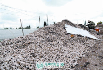 云南发现2000多年前古滇国村落遗址