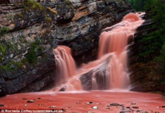 这个夏天一定要去！加拿大的粉色瀑布，美哭了