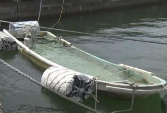 日本一渔船被海啸卷走失踪  漂流6年后再现身